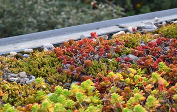 the cost of Bromley green roof installation