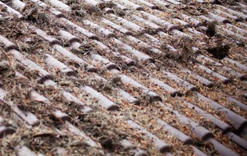 Bromley roof cleaning companies